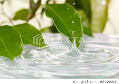 Leaves and water surface Leaves and water surface 68139094