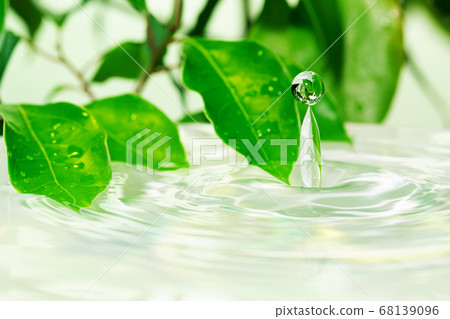 葉子和水面 68139096