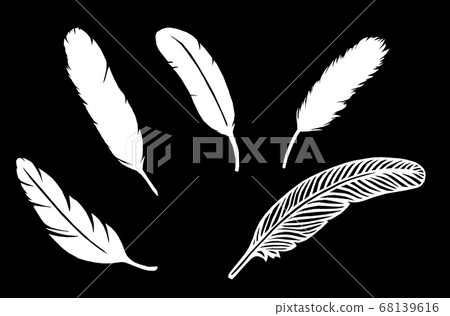 Feathers 68139616