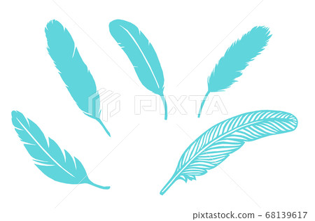 Feathers 68139617