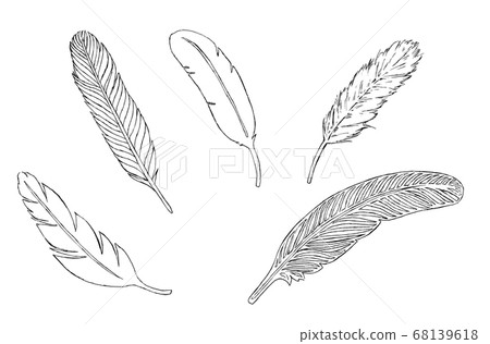 Feathers 68139618