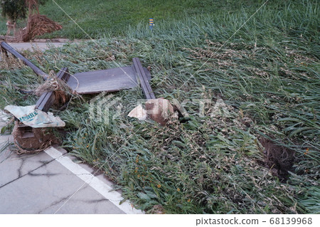 There was a lot of damage from the storm in Korea. Rainy season, storm, typhoon, rain, cloudy, damage, natural disaster There was a lot of damage from the storm in Korea. Rainy season, storm, typhoon, rain, cloudy, damage, natural disaster 68139968