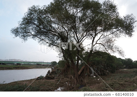 韓國的風暴造成了很大的破壞。雨季，風暴，颱風，雨，陰天，破壞，自然災害 68140010