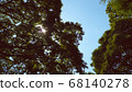 Sun, sky and big tree 68140278