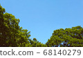 Trees and blue sky 68140279