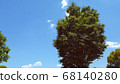 Trees and blue sky 68140280