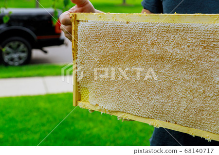 Beekeeper stands near the hives holding honeycomb 68140717