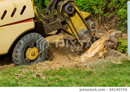 A stump is shredded with removal, grinding in the A stump is shredded with removal, grinding in the 68140749