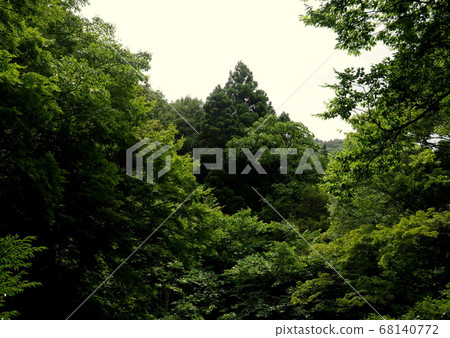 A 15-minute walk from Kowakudani Station on the Hakone Tozan Railway 68140772