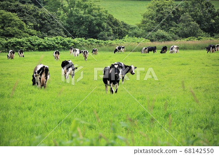 A landscape of a ranch 68142550