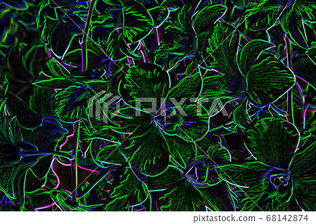neon light on flower petal.colorful pattern on neon light on flower petal.colorful pattern on 68142874