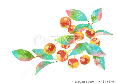 Checkerberry illustration 68143126
