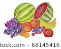 A bunch of fruits drawn by watercolor on a white 68145416