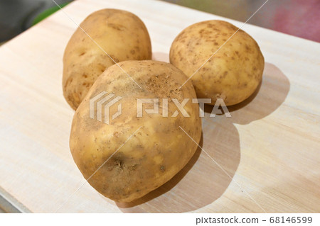 土豆 土豆 68146599