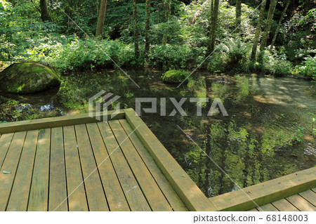 Karasugawa山谷綠地水邊區的群落生境 68148003