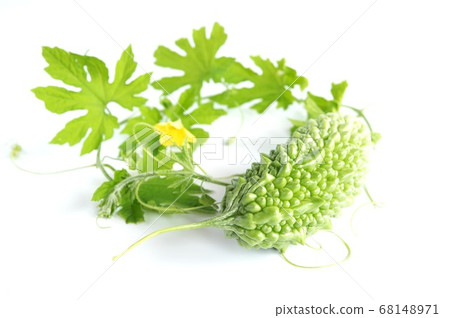 Bitter melon or bitter gourd with leaves isolated 68148971