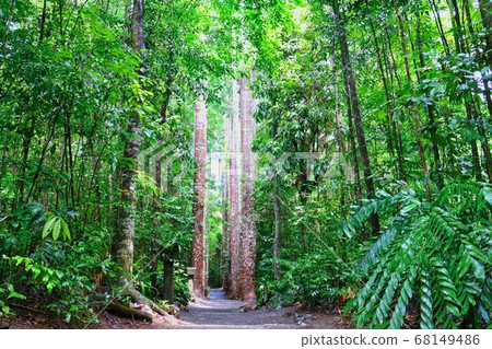 [Australia/QLD] Paronella Park 68149486