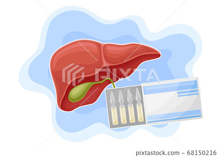 Liver and Glass Medical Ampoules in Carton Package as Pharmaceutical Drug Vector Composition Liver and Glass Medical Ampoules in Carton Package as Pharmaceutical Drug Vector Composition 68150216