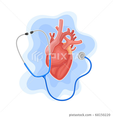 Heart and Stethoscope as Medical Equipment for Heartbeat Examination Vector Composition Heart and Stethoscope as Medical Equipment for Heartbeat Examination Vector Composition 68150220