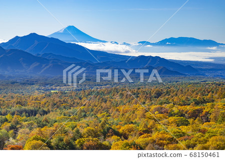 山梨縣北斗市清里高原森森的富士山和落葉鬆的秋葉 山梨縣北斗市清里高原森森的富士山和落葉鬆的秋葉 68150461