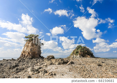 大安花園 68150681