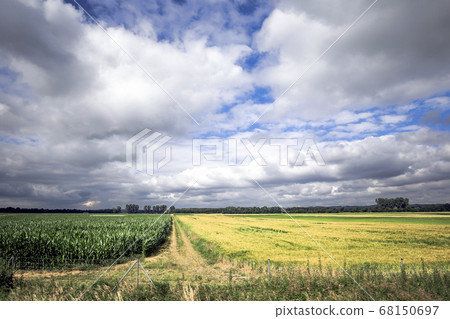 Fussen landscape germany Fussen landscape germany 68150697