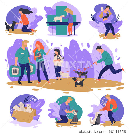 Animal shelter or adoption center for dogs and cats 68151258