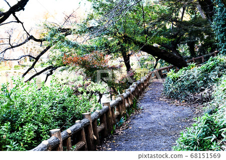 Road beside Inokashira Park in Kichijoji, Tokyo 68151569