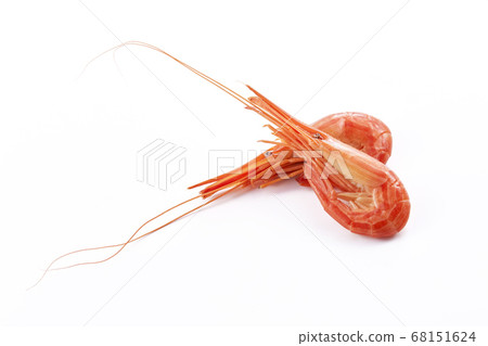 北海志摩蝦[回飛，影子壹岐] 68151624