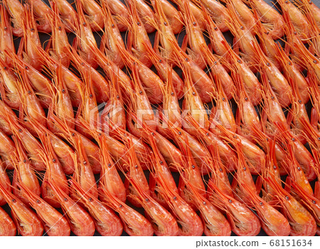 North Sea Shrimp North Sea Shrimp 68151634