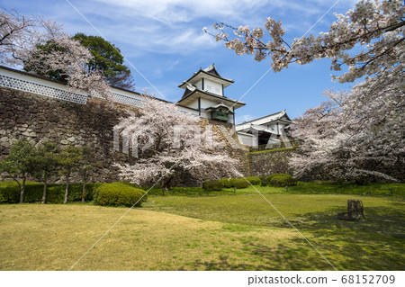 春季金澤之旅:櫻花盛開的金澤城堡公園 春季金澤之旅:櫻花盛開的金澤城堡公園 68152709