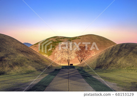 慶州Daereungwon的木蘭 68153129