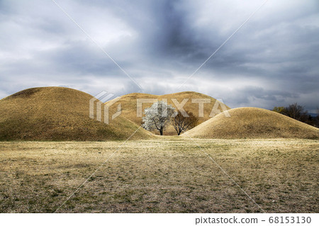 慶州Daereungwon的木蘭 68153130