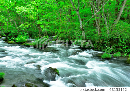 Oirase stream Oirase stream 68153132
