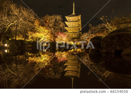 Toji Temple lighted up Kyoto's autumn leaves spot Night view of autumn leaves and five-storied pagoda Autumn Kyoto sightseeing spot 68154038