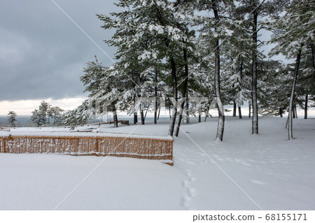 鳥取沙丘的雪景 68155171