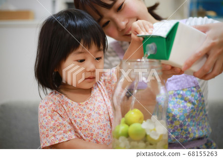 Parent and child making plum wine 68155263