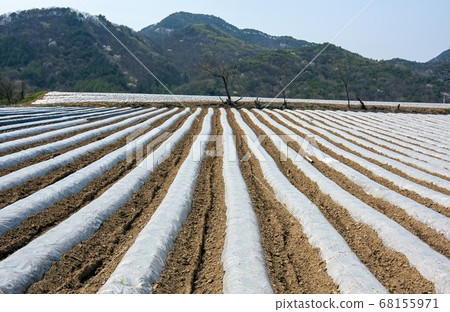 Rural landscape Rural landscape 68155971
