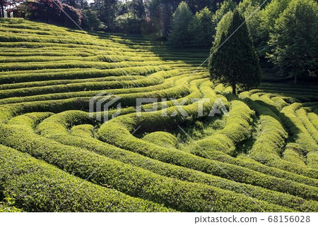 寶城大旺 68156028