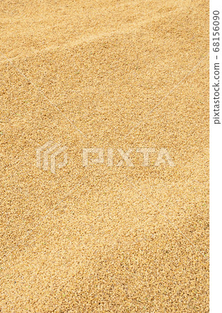 米 原料 生的 曬稻穀 生活方式 曝曬 自然 raw rice ingredient 68156090