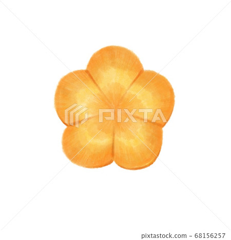 胡蘿蔔與裝飾切出水彩風格的插圖 68156257