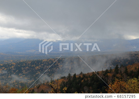 [固定價格]北海道三國Pass口的秋葉 68157295