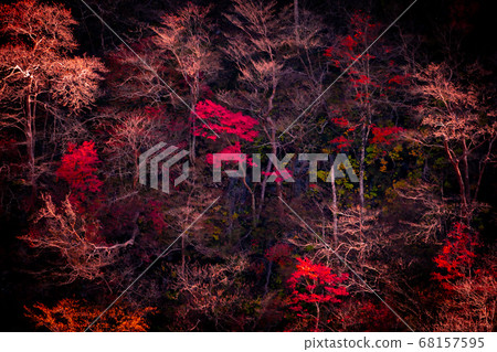 Autumn leaves in Nikko, Tochigi Prefecture 68157595