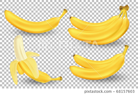 Realistic set of bananas isolated on transparent background. Bunches of fresh yellow banana fruits. Tropical fruits vector illustration Realistic set of bananas isolated on transparent background. Bunches of fresh yellow banana fruits. Tropical fruits vector illustration 68157603