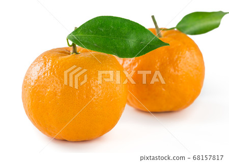 Kishu成熟的Ponkan 68157817