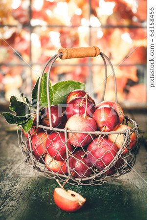 Apples in basket, autumn and halloween concept 68158456