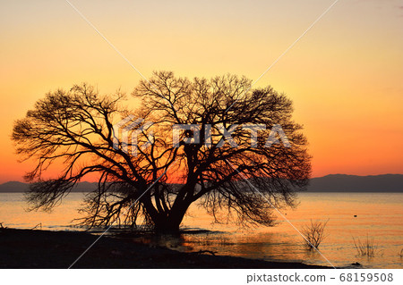 Lake shore sunset Lake shore sunset 68159508