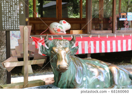 東急市柳井國三森 68160060