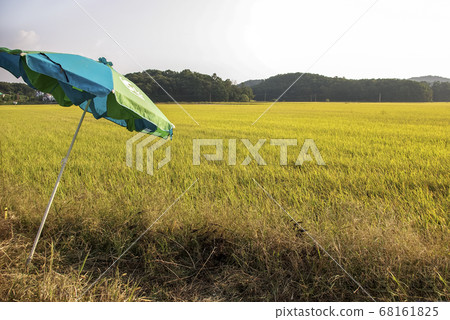 The autumn sun 68161825