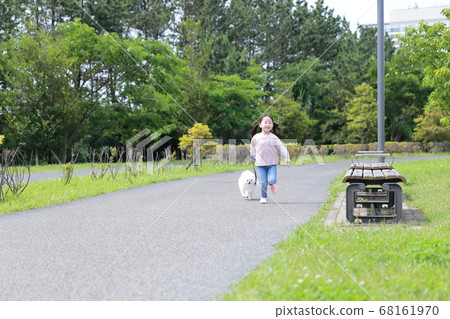 Girl in the park walks with her dog Pomeranian Girl in the park walks with her dog Pomeranian 68161970